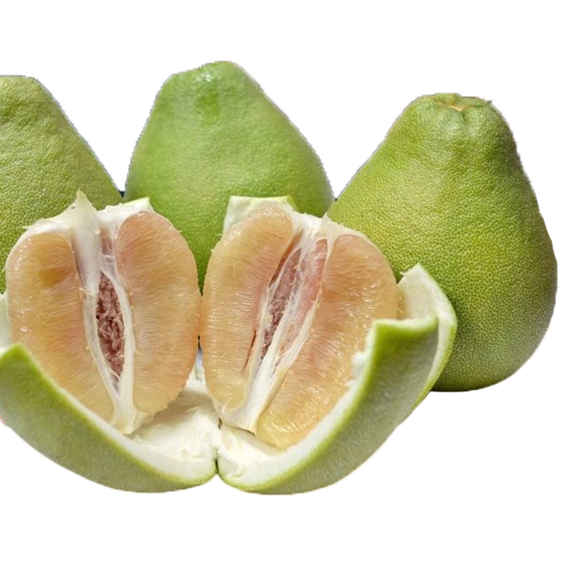 台南麻豆60年文旦禮盒