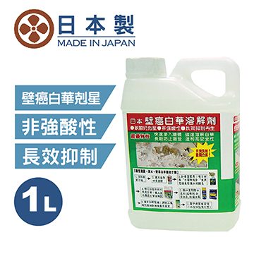 日本壁癌白華溶解劑1l Pchome 24h購物