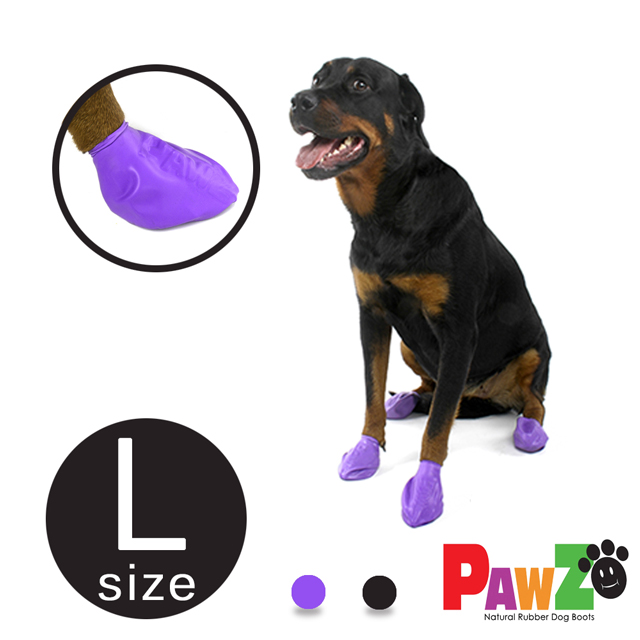 pawz sizing