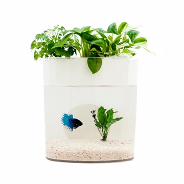 Iecofun 花魚共生寵物缸花妍巧魚 Pchome 24h購物 Iecofun 花魚共生寵物缸花妍巧魚 Pchome 24h購物