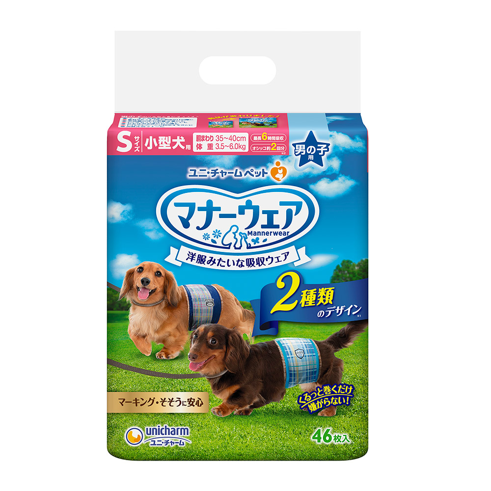 生理褲 禮貌帶 Pchome 24h購物