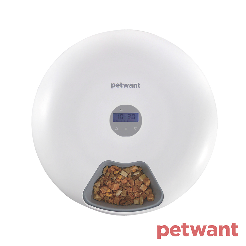 Petwant 甜甜圈六餐餵食器f6 Tw白色 Pchome 24h購物