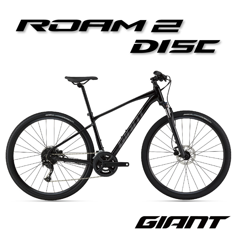 GIANT ROAM 2 DISC