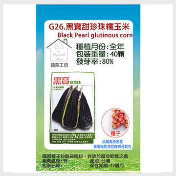 G26 黑寶甜珍珠糯玉米種子 Pchome 24h購物
