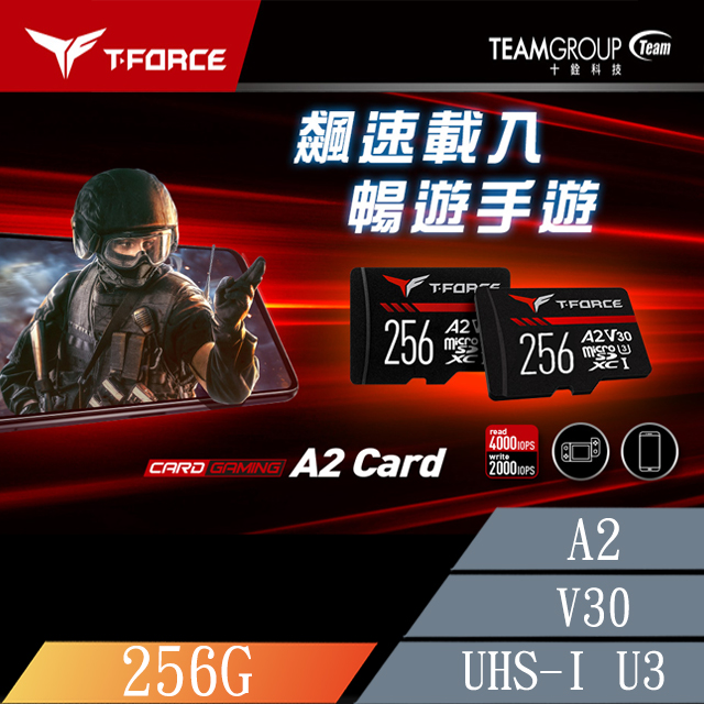 TEAM 十銓 T-FORCE Gaming Card MicroSDXC 256GB UHS-I U3 A2 電競專用高速記憶卡(終身保固)