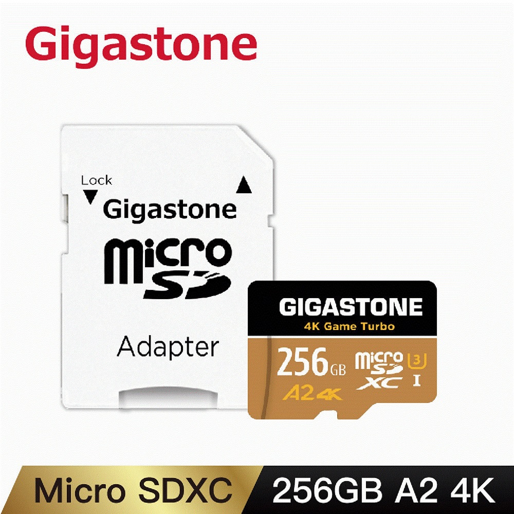 Gigastone Data Recovery 256GB microSDXC UHS-I A2 U3 資料救援記憶卡(Game Turbo高速卡)