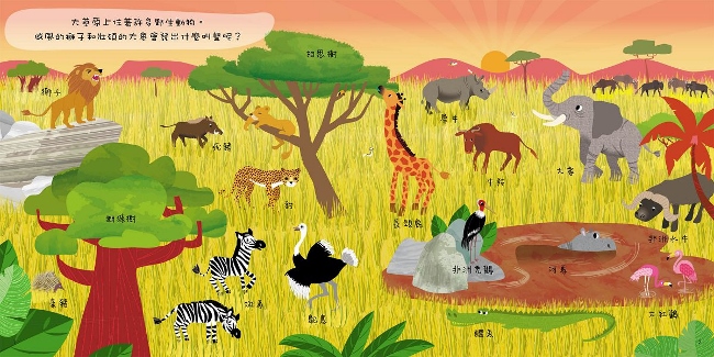 遊樂世界動物趣 Pchome 24h書店