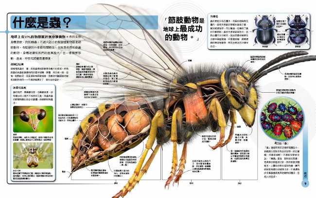 超能力昆蟲百科 地球上最大 最快 最致命的昆蟲與節肢動物 Pchome 24h書店