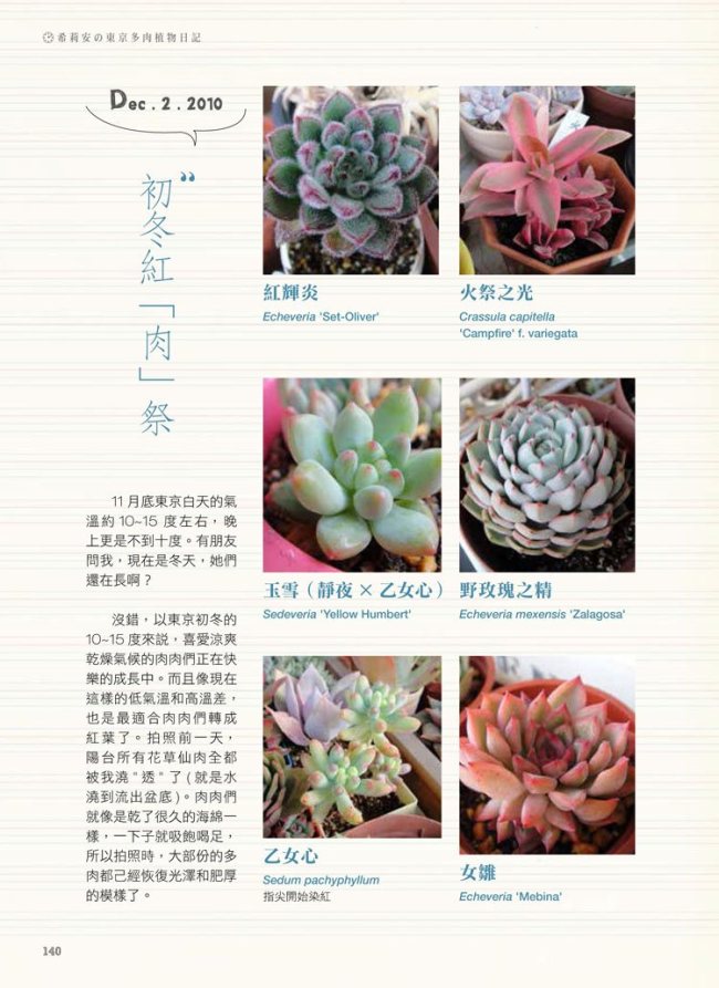 希莉安的東京多肉植物日記 Pchome 24h書店