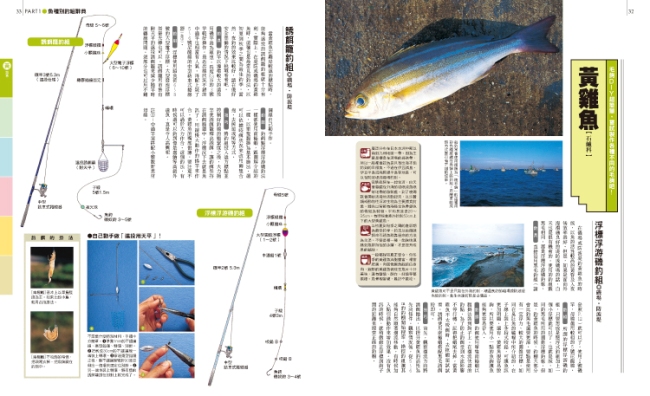 釣魚配備應用百科 史上最完整139種海釣釣組收錄 海水魚篇 Pchome 24h書店