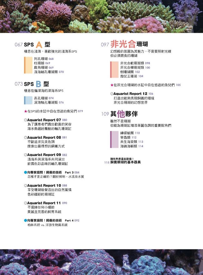 給新手的珊瑚飼育指南 Pchome 24h書店