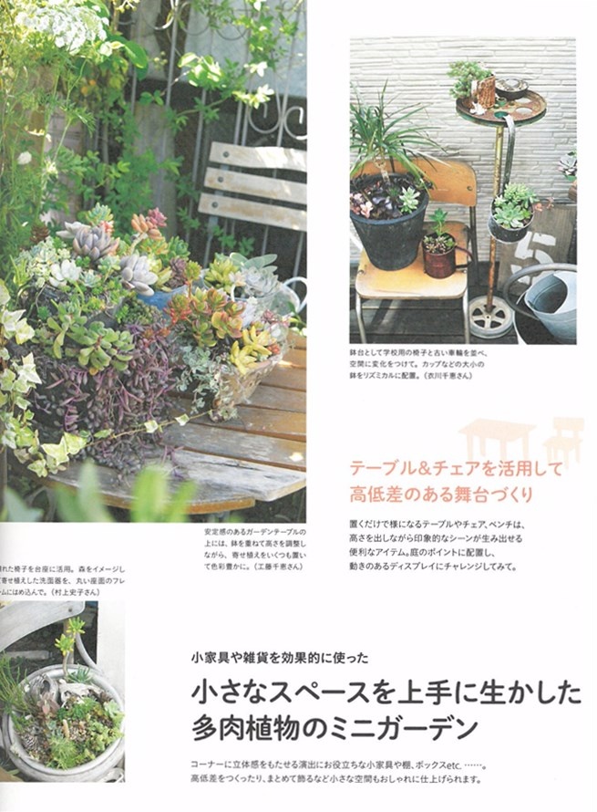 多肉植物綠意植栽居家裝飾生活讀本 Pchome 24h書店