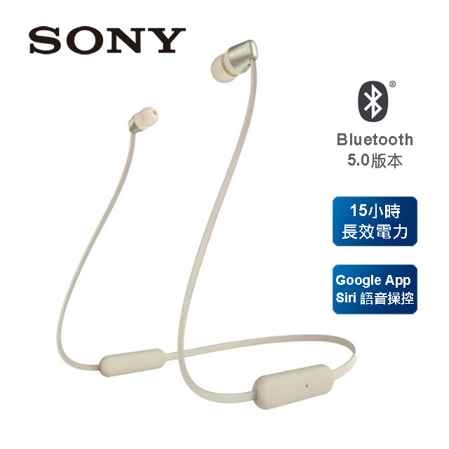 SONY 無線藍牙入耳式耳機 WI-C310 金