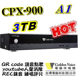 金嗓 電腦科技(股)公司 CPX-900 A1 電腦點歌機 GoldenVoice 3TB